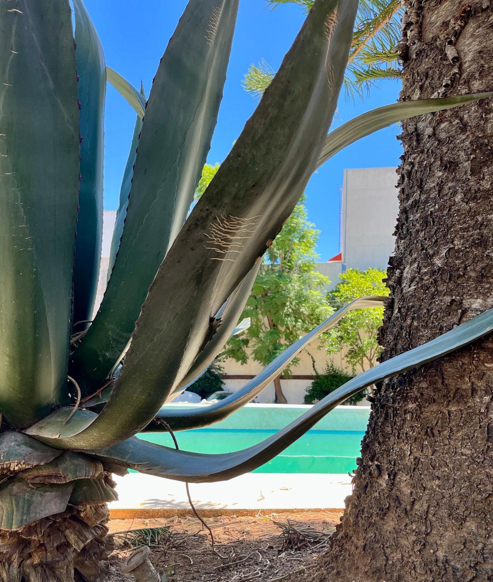 Villa Santa Julia Oaxaca Εξωτερικό φωτογραφία